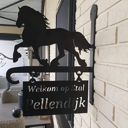 Luxe Gastenkamer Met Living En Keuken Bij Friezen Paarden Stal Pellendijk Westendorp Екстер'єр фото