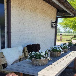 Luxe Gastenkamer Met Living En Keuken Bij Friezen Paarden Stal Pellendijk Westendorp Екстер'єр фото